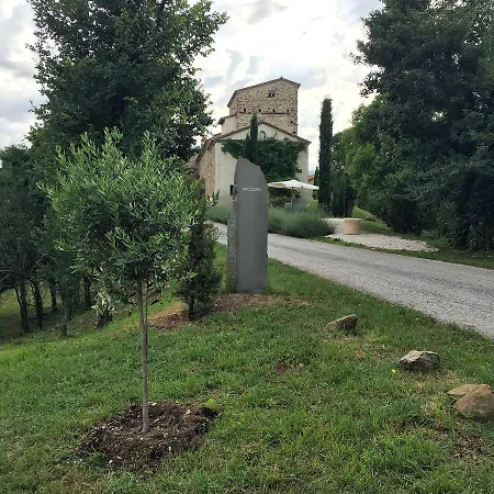 Vaccaria